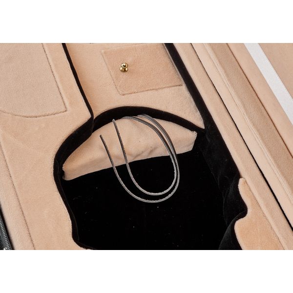 Roth & Junius RJVC Violin Case Presto 4/4