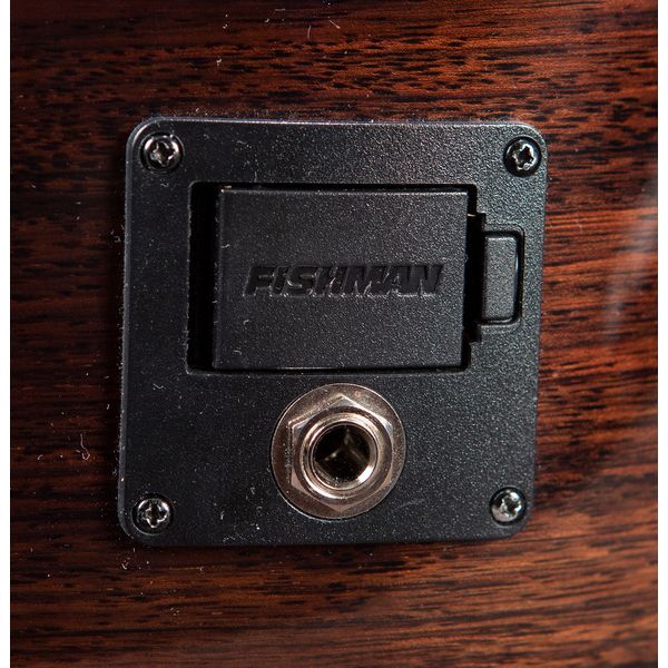 Breedlove Performer Pro ConcThin Rswd CE