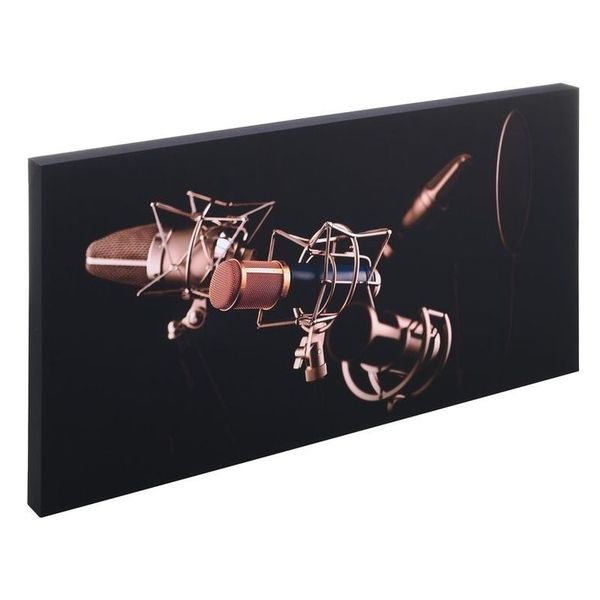 t.akustik Print Panel Mic Check