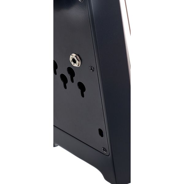 NS Design NXT4a Bass LH AB