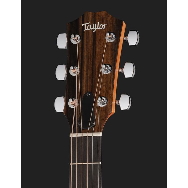 Taylor 210ce