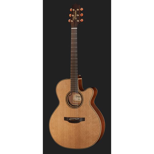 Takamine P3NC Pro Series w/Softcase