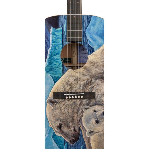 Martin Guitar D Bioshpere III