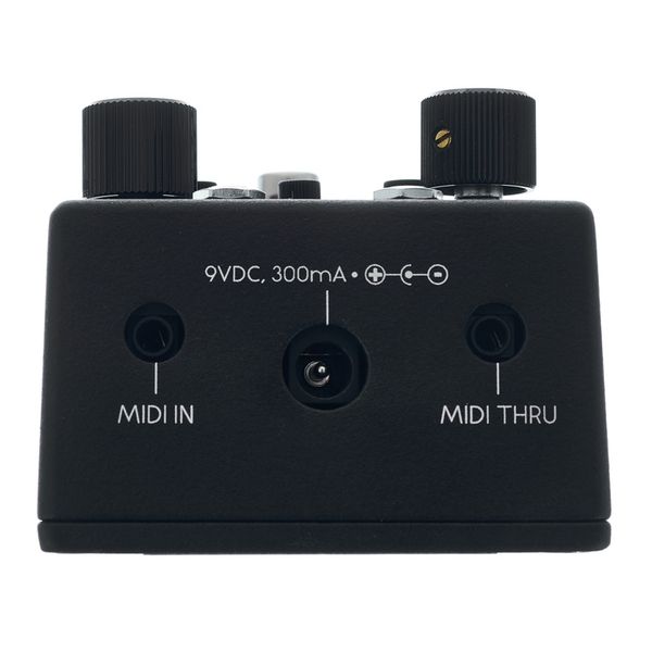 Walrus Audio Canvas Rehearsal