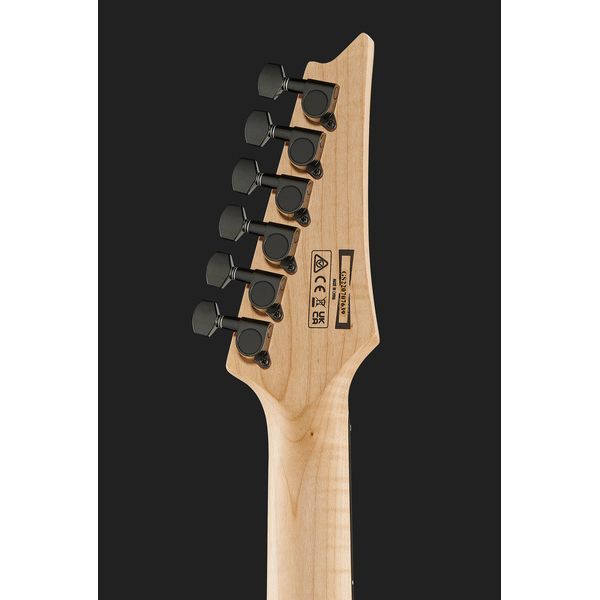 Ibanez PGMM21 Paul Gilbert MGN