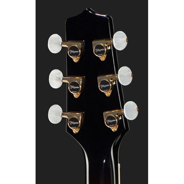 Takamine P6N-BSB w/Softcase