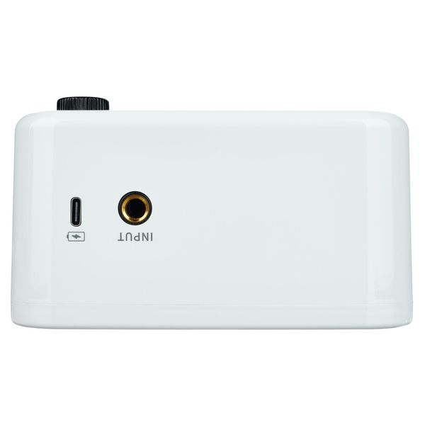 Mooer GTRS PTNR Bluetooth Amp WH