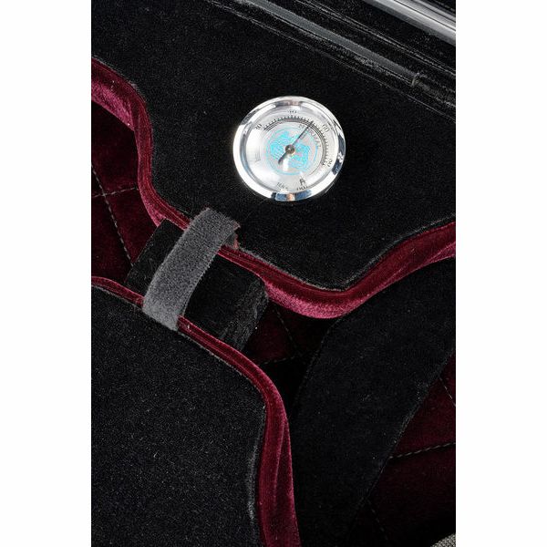 Roth & Junius RJVC Professional Deluxe