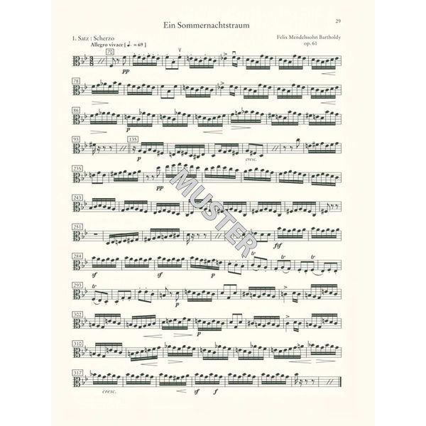 Schott Orchester Probespiel Viola