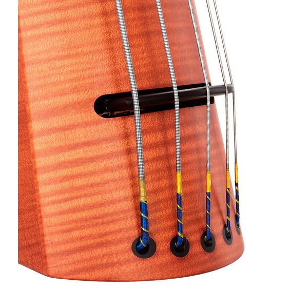 NS Design CR5 Upright Bass Amber