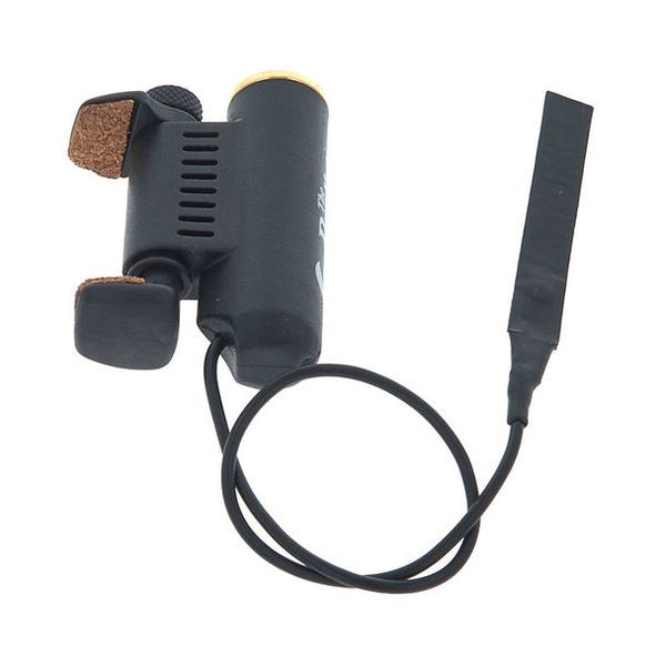 David Gage The Realist Violin