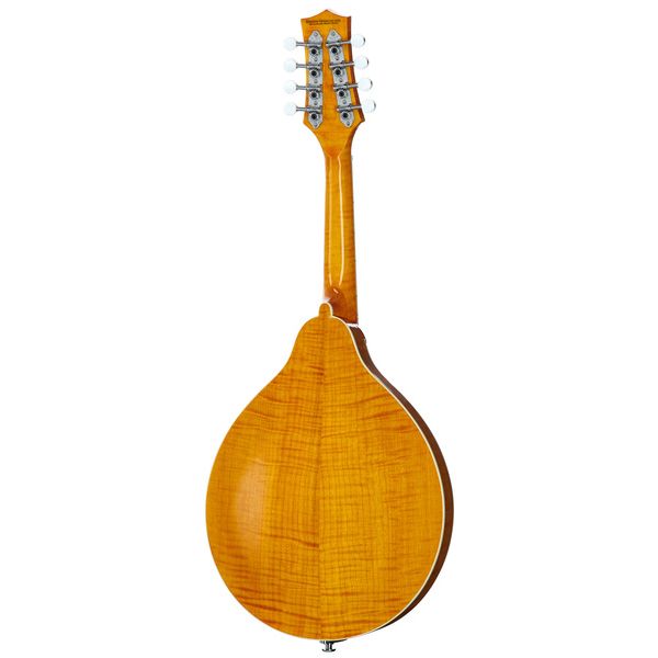 Richwood RMA-110-VS A-Style