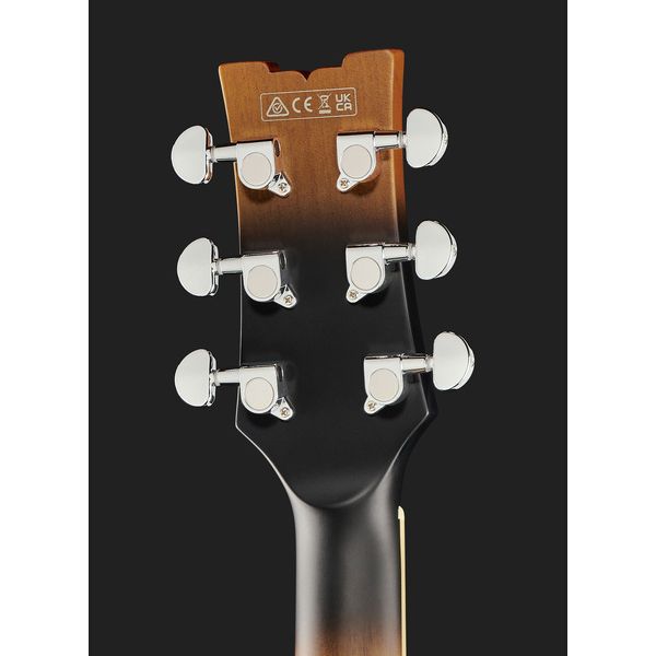 Ibanez AM53 Tobacco Flat