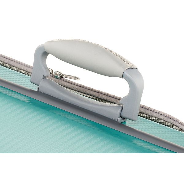 Gewa Pure Vn Case OC Fun G/G