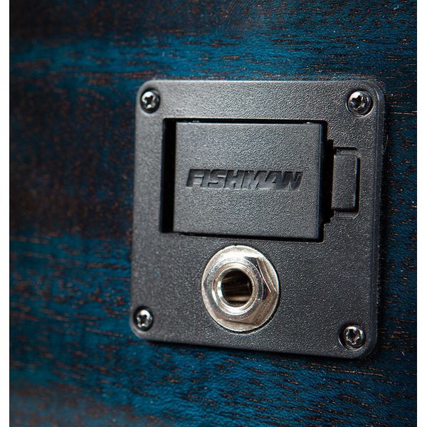 Breedlove Rainforest S Concert Papillon