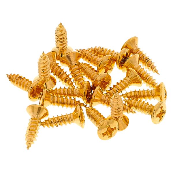 Göldo Pickguard Screws GD