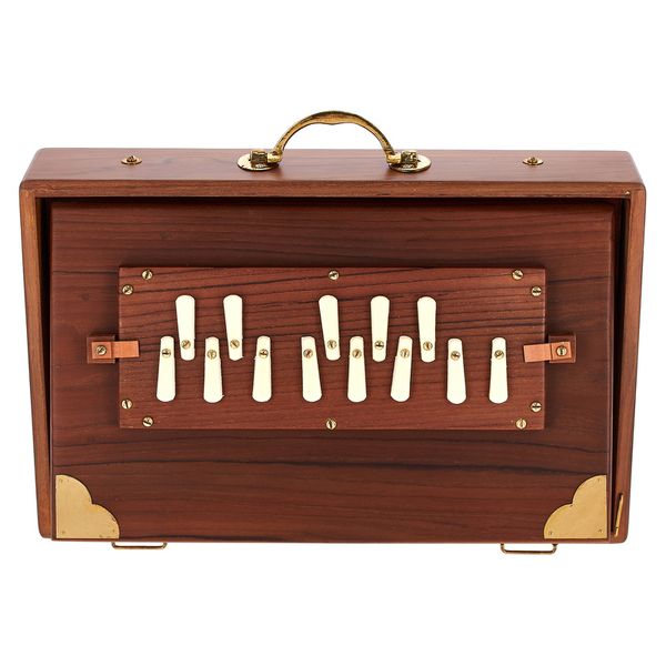 Thomann Nataraj Prof. Shruti Solid TW