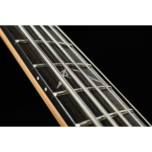 Warwick Artist Line Robert Trujillo 5