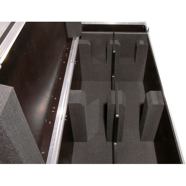 Thon Case ScanSphere 300 2in1