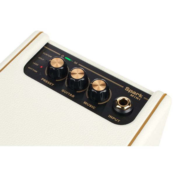 Positive Grid Spark Mini PW