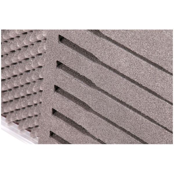 Thon Ext. Module Speech 100M 8xC/D