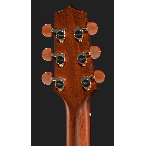 Takamine P3DC w/Softcase