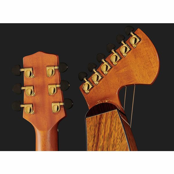 Timberline Guitars T70HGpc-e Harp Guitar