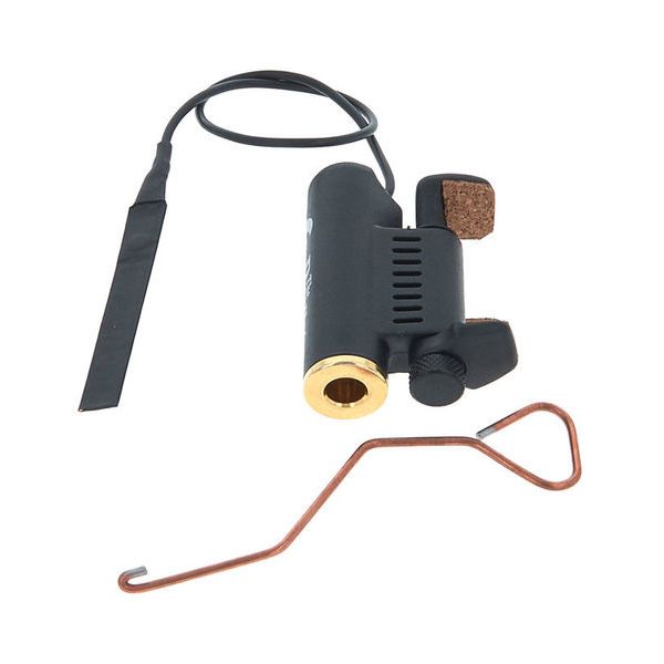 David Gage The Realist Violin