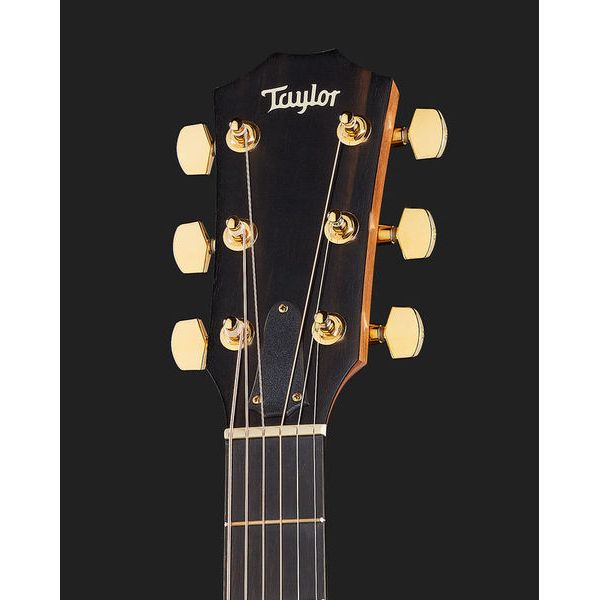 Taylor 224ce-K DLX