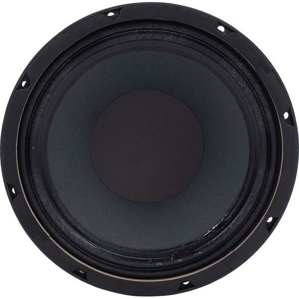 the box Speaker 10-250/8-A