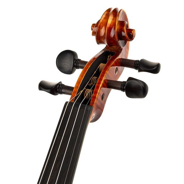 Gewa Maestro 1 Violin Set 4/4 OC CB