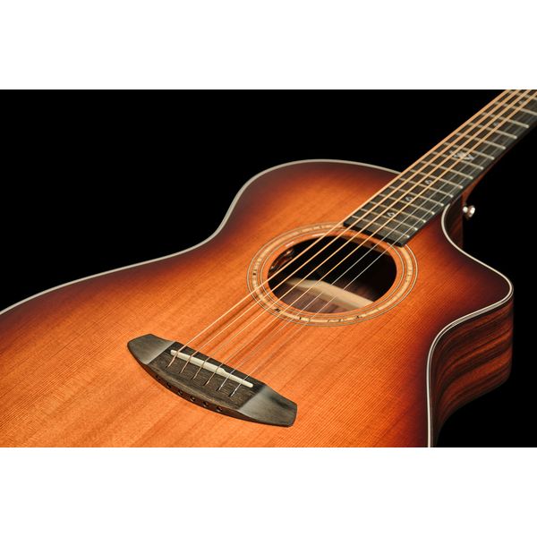 Breedlove Premier Concert Thinline EB CE