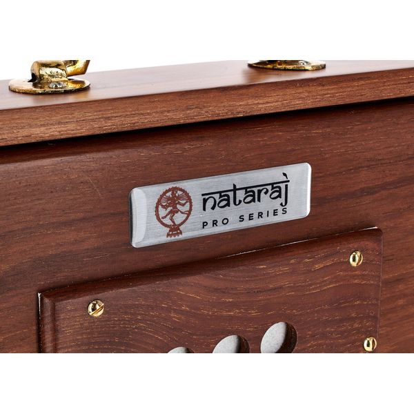 Thomann Nataraj Prof. Shruti Solid TW