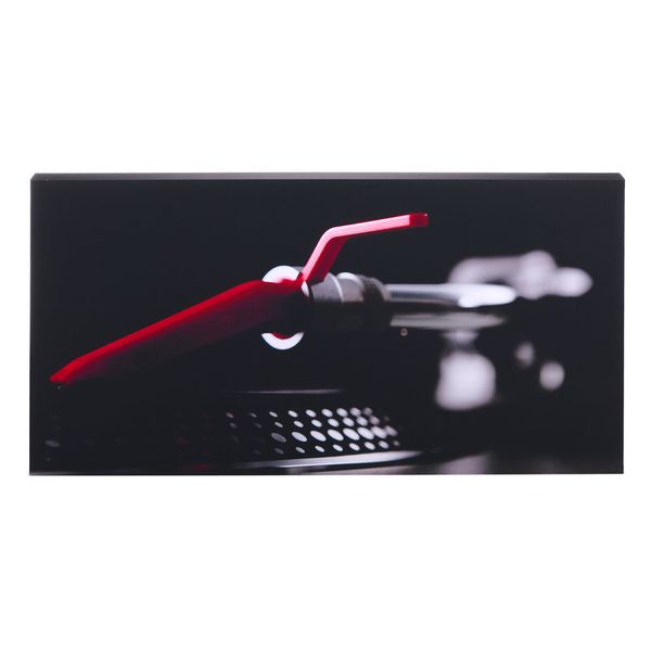 t.akustik Print Panel The Needle