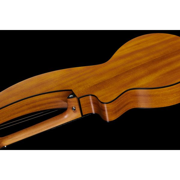 Timberline Guitars T20HGpc Harp Guitar