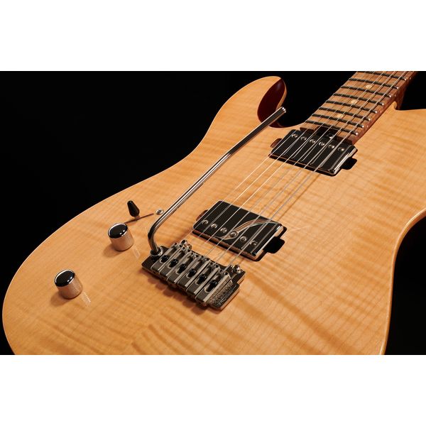 Harley Benton Fusion-T HH LH Roasted FNT