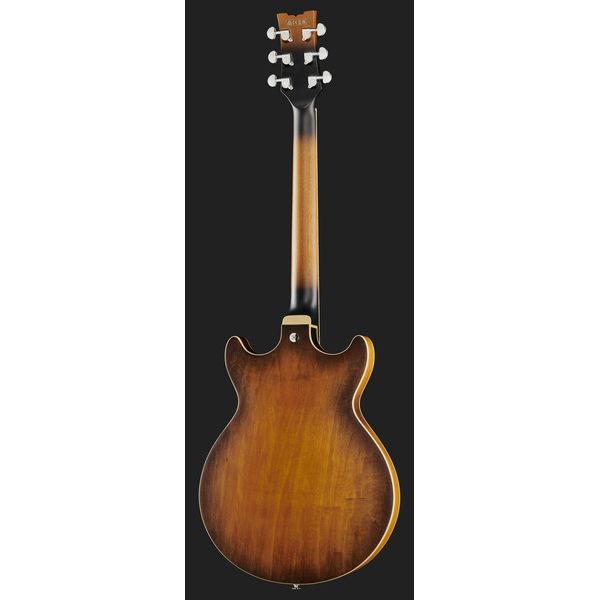 Ibanez AM53 Tobacco Flat