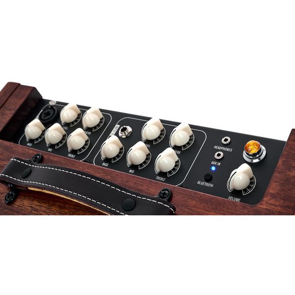 Taylor Amp Circa 74 AV150-10