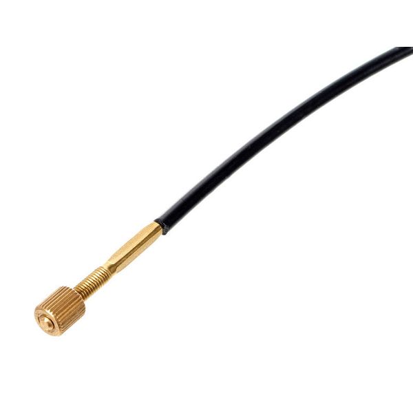 Petz Tailgut Double Bass 3/4