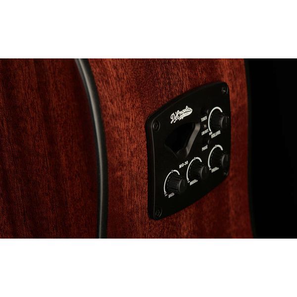 DAngelico Premier Lexington LS