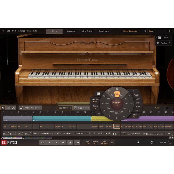Toontrack EKX Singer-Songwriter