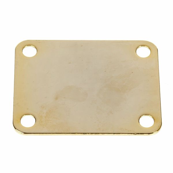 Harley Benton Parts HN001GD