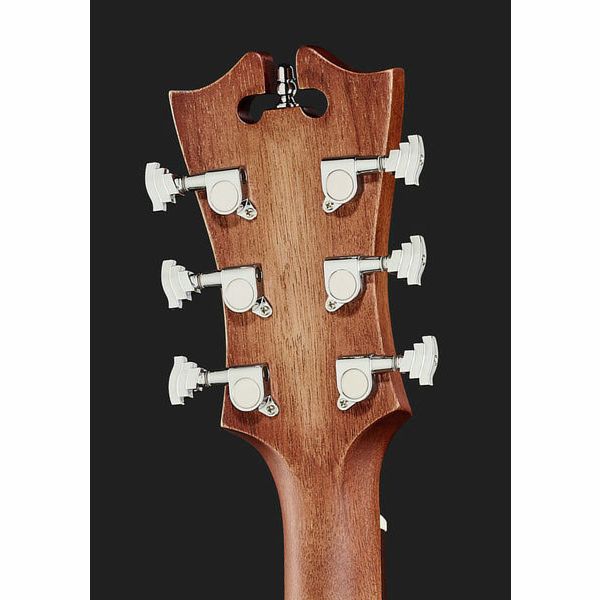 DAngelico Premier Bowery LS Aged Mah