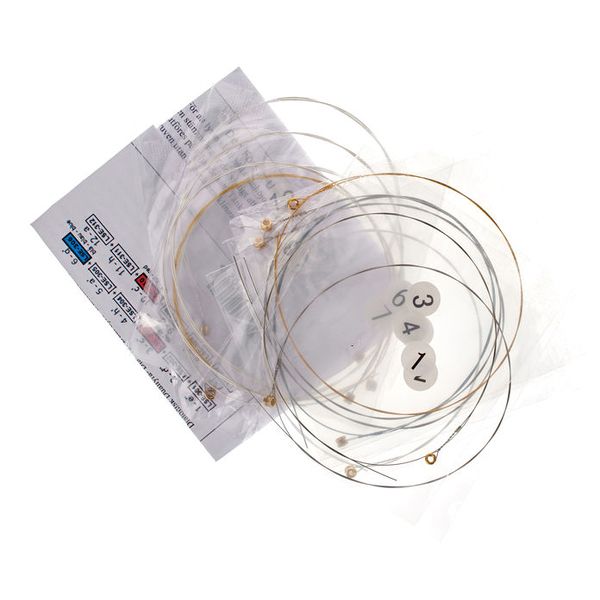 Auris Strings for Diat. Lyre 12 Str.