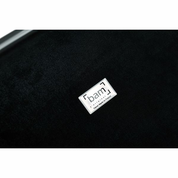 bam PANT2001XLN Obl. Violin Case