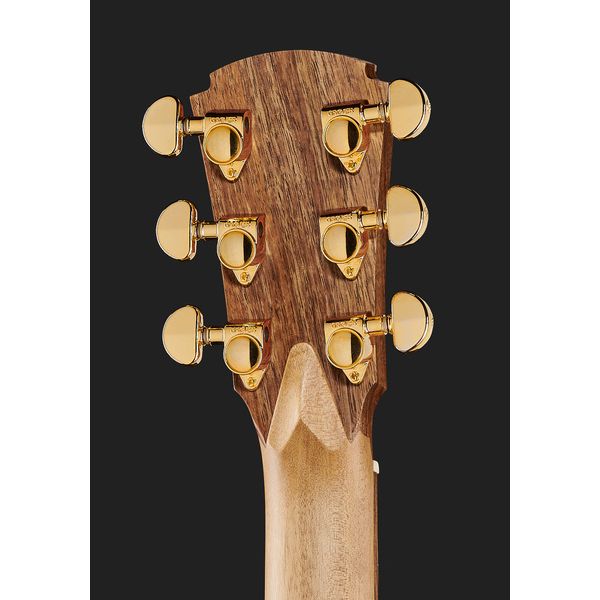 Cole Clark TL2EC-BLBL-HUM