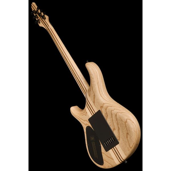 Mayones Guitars Regius 4EVER 6 B27