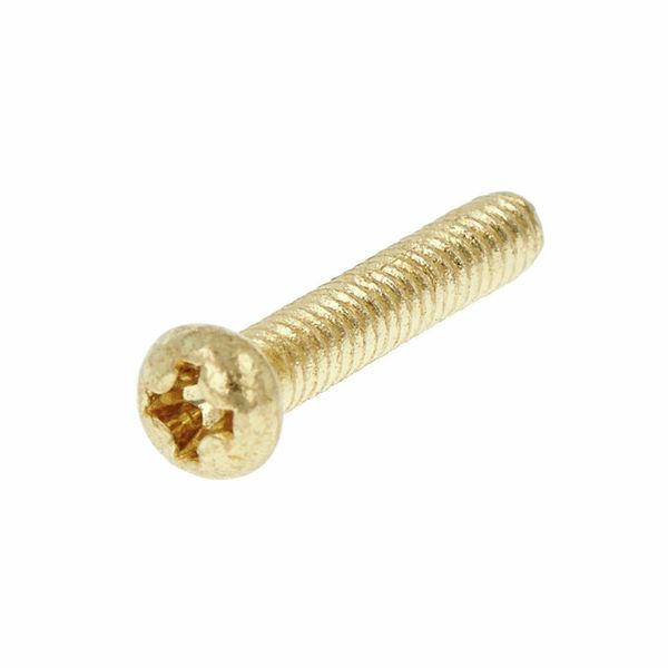 G&ouml;ldo SR20G Screw f.Single Coils