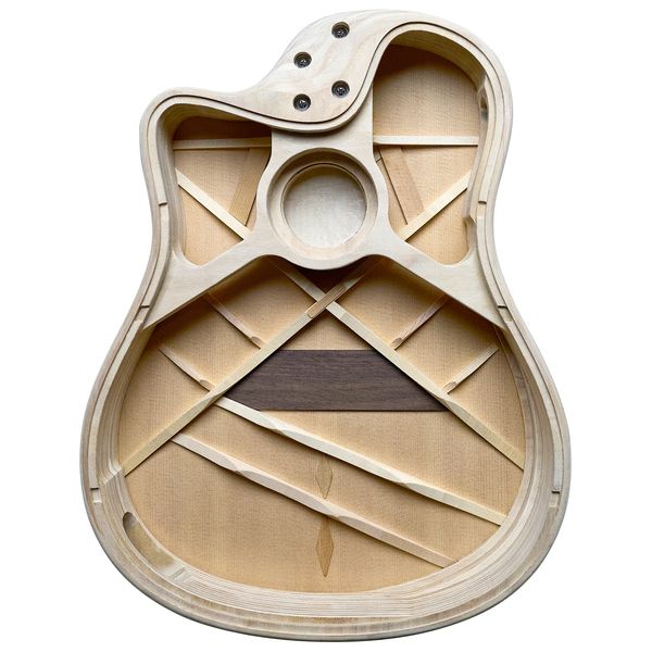 L.R.Baggs AEG 1 E- Acoustic E Natural