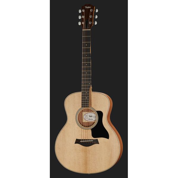 Taylor GS Mini Sapele Torrefied Top